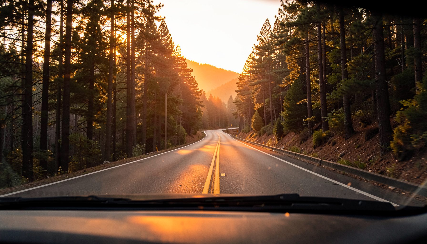 A dashboard camera view of a winding mountain road at sunrise, with golden light filtering through pine trees
